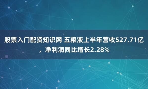 股票入门配资知识网 五粮液上半年营收527.71亿，净利润同比增长2.28%